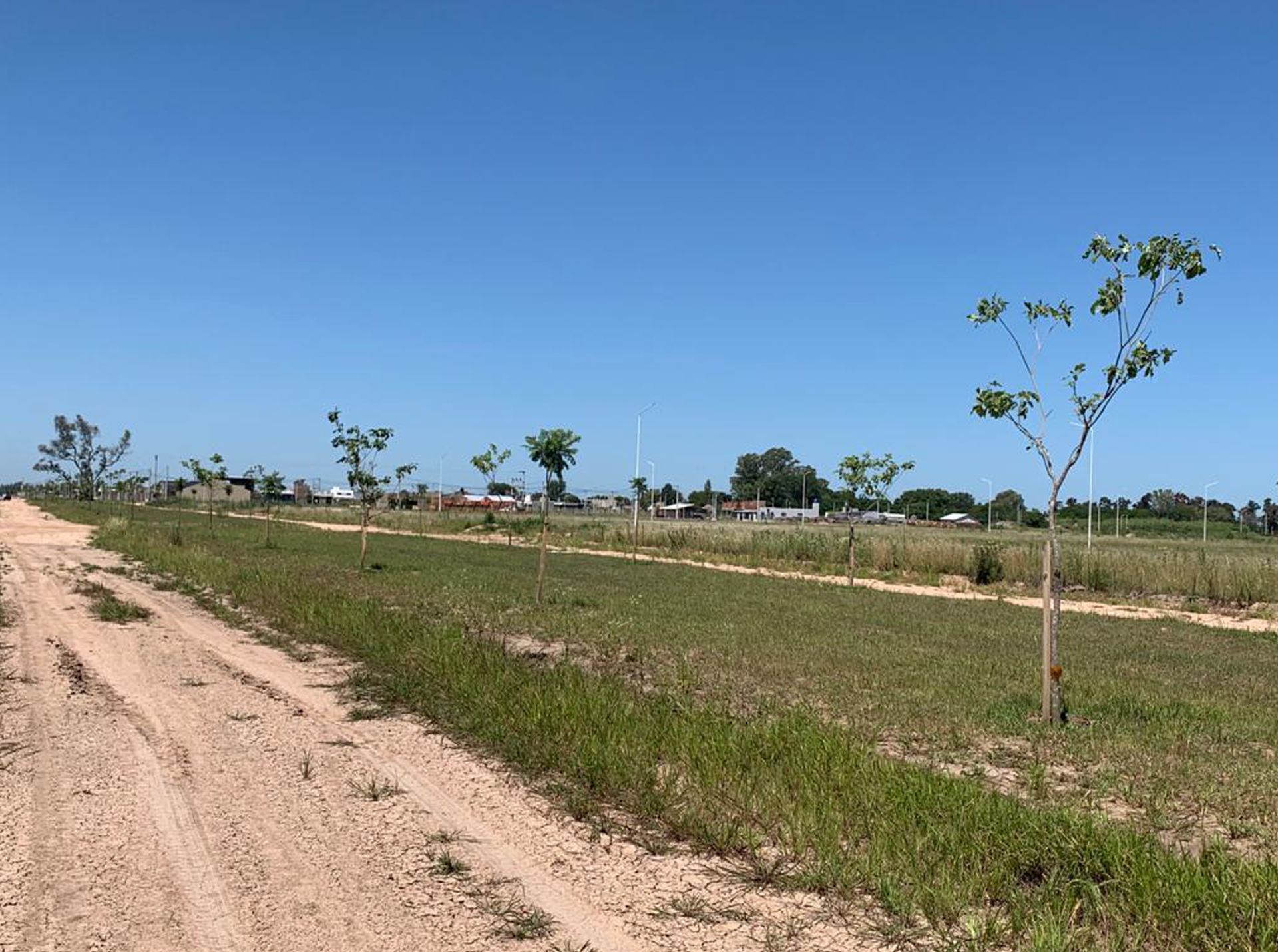 Avance de OBRA FORESTACIÓN